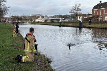 nieuws prins hendrikstraat beek en donk