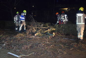 natuur kraaijensteinweg burgh-haamstede