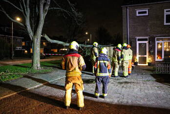 natuur van lierdreef voorschoten