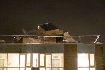 natuur aaltje noordewierlaan bussum