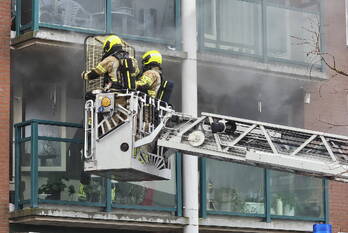 brand julianahof gouda