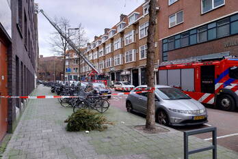 natuur dunantstraat rotterdam