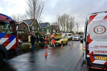nieuws pieter jelles troelstralaan zaandam