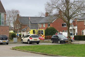 steekincident middellaan grootegast