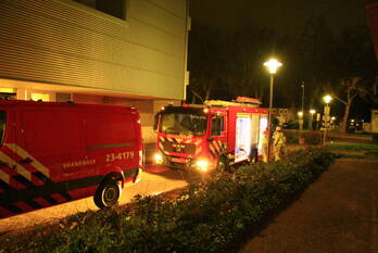 nieuws vogelsbleek weert