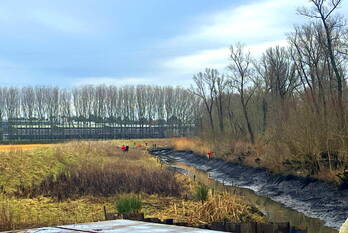 nieuws kruisnetlaan hoogvliet rotterdam