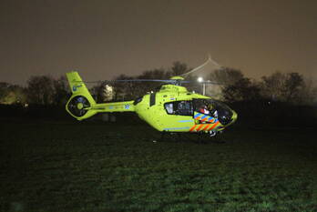 nieuws hondskruid katwijk