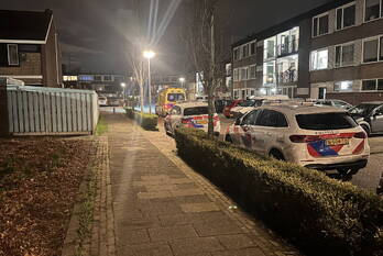 steekincident scholeksterstraat rozenburg