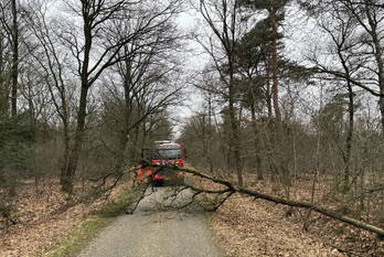 natuur hazenhutsedijk de rips