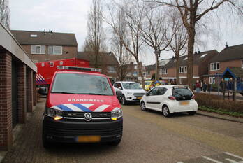 nieuws zwaan zoeterwoude