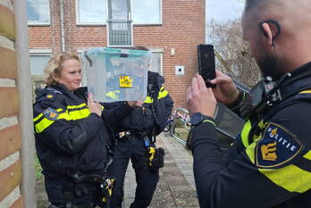 nieuws sont lelystad