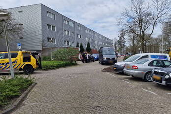 nieuws noorderbreedte amsterdam