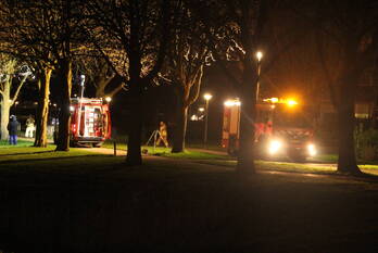 nieuws punter 37 lelystad