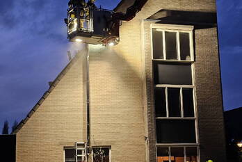 brand spinozastate ede