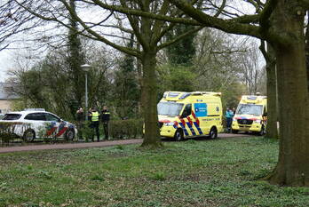 ongeval havikskruid kampen