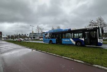 nieuws dammelaan leeuwarden