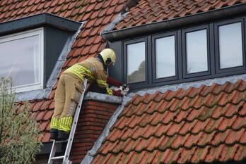 nieuws van der helststraat leeuwarden