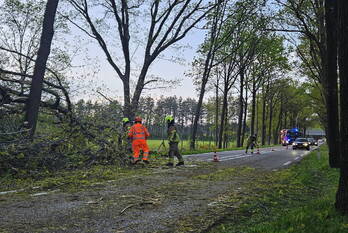 natuur turnhoutsebaan goirle
