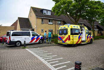 steekincident parklaan spijkenisse
