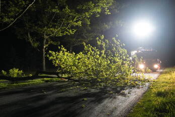 natuur weijerswold coevorden