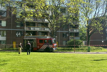 nieuws justus van effenhove zoetermeer