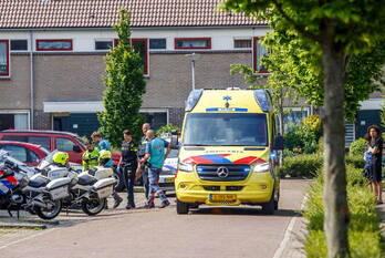 steekincident scholeksterstraat rozenburg