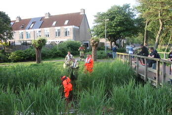 nieuws dr. w. dreesstraat katwijk