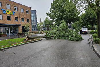natuur plesmanstraat veenendaal