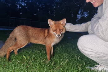 nieuws woldpark lelystad