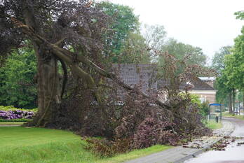 natuur groningerstraat vries