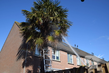 brand angolastraat delft