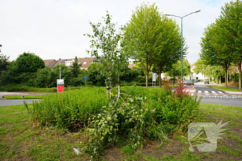 nieuws blauwe reiger bunschoten-spakenburg