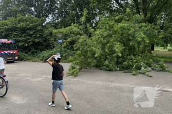 natuur zuidergaard veghel