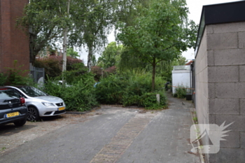 natuur stokdijkhof naaldwijk