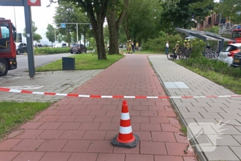 natuur duinoord katwijk