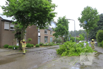 natuur victor de stuersstraat weert