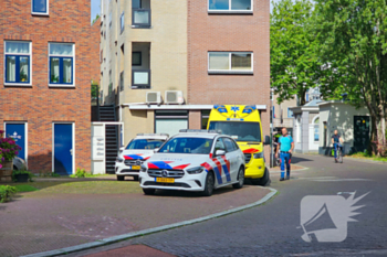 nieuws korte vest gouda