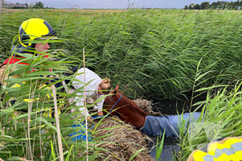 nieuws 1e tochtweg - n219 nieuwerkerk aan den ijssel
