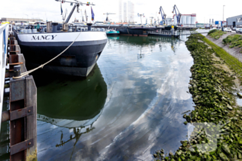 milieu torontostraat botlek rotterdam