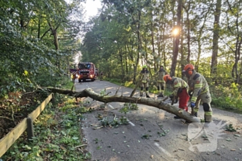 natuur dikkenbergweg bennekom