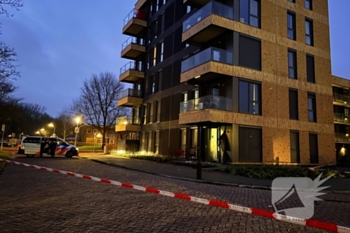 nieuws egelantierstraat leeuwarden