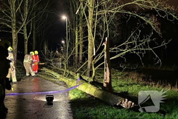 natuur groenezoom waddinxveen