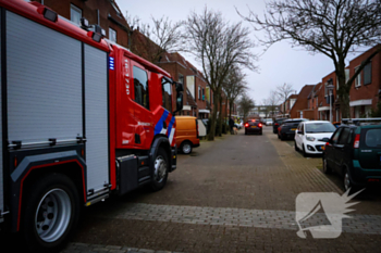 nieuws castor katwijk