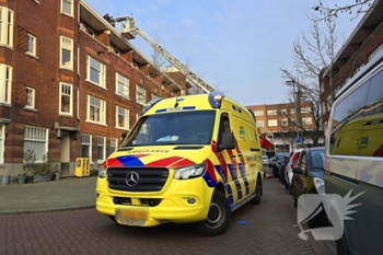 nieuws insulindestraat rotterdam