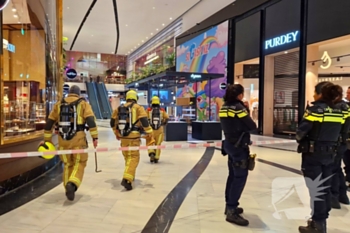 brand weigelia leidschendam