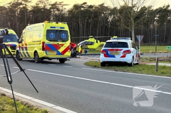 ongeval eekhoorn - n618 sint-oedenrode
