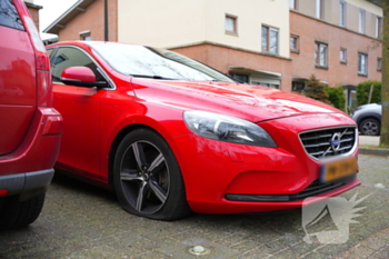 nieuws leverkruid amersfoort