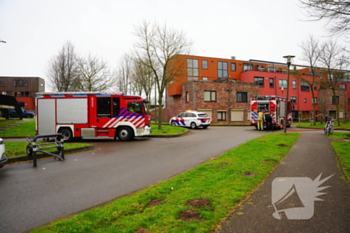 brand zeelt amersfoort