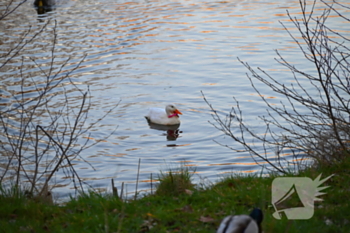 nieuws prinsessenweg leeuwarden