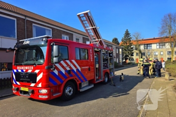 brand ganzeweide ede